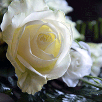 結婚式場選びでよくあるトラブル